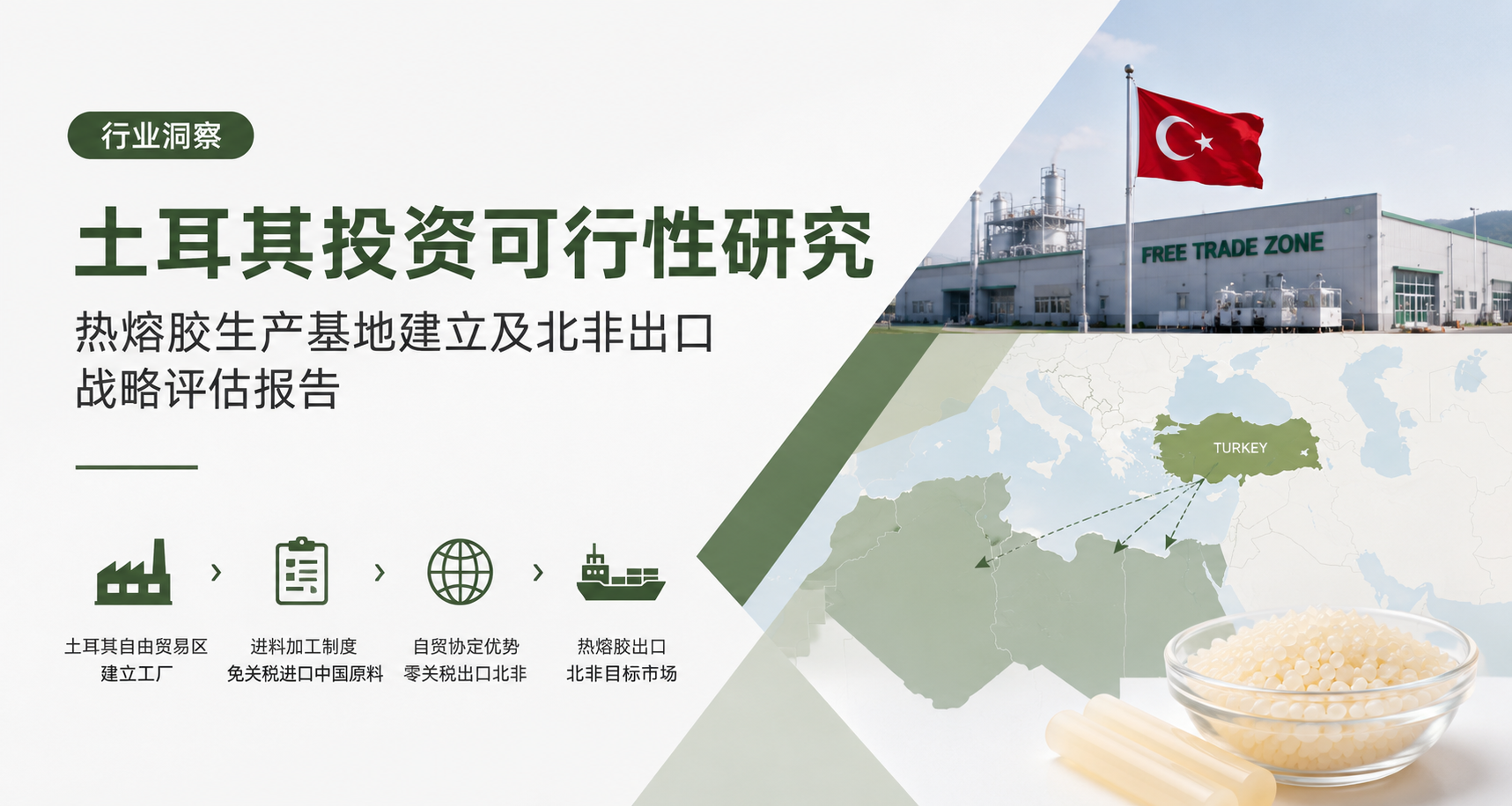 跨国投资可行性分析